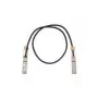 Cisco QSFP-100G-CU2M= Connectivity Accessory