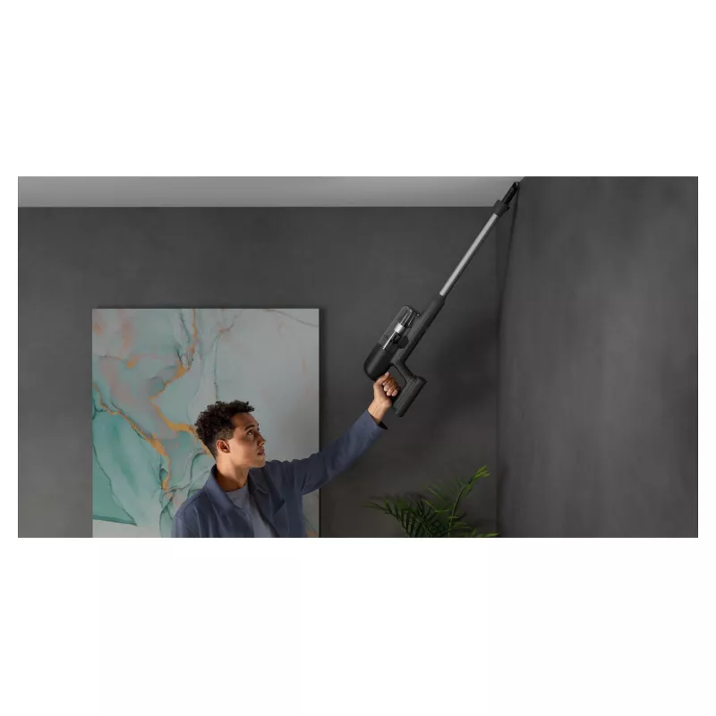 Handheld Vacuum AEG AP71UB14GG