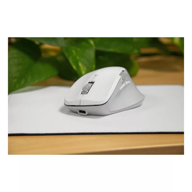 Mouse Speedlink LIBERA Rechargeable Wireless Bluetooth Silent White