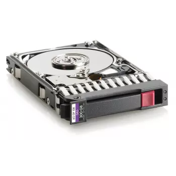 Hewlett Packard Enterprise 300GB SAS 2.5 (W125833981)