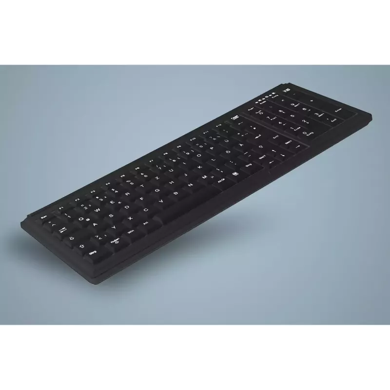 Active Key AK-7000 Keyboard Universal USB QWERTY US International Black