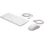 HP USB Keyboard and Mouse Healthcare Edition Full-size Wired White