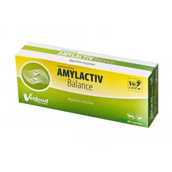 Vetfood Amylactiv Balance digestive support for dogs and cats 60 capsules