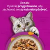 Wet cat food Whiskas Tasty Mix chef's selection in sauce 40×85 g pouches