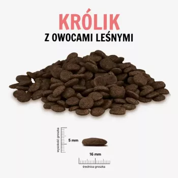 PAKA ZWIERZAKA rabbit with forest fruits large 9 kg dry dog food