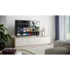 LED TV 55'' 55GK4245E