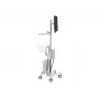 Ergotron 24-818-211 Display