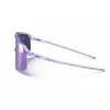 Sunglasses Julbo DENSITY model 964409 size L purple lens category: sunglasses
