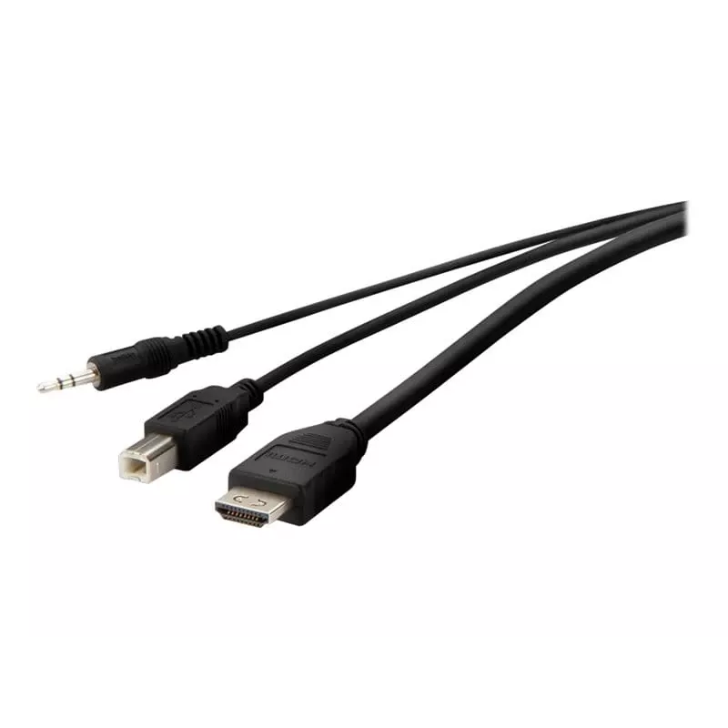 KVM cable Belkin F1DN1CCBL — HDMI to USB A/B with audio, USB keyboard/mouse ports, 3 m