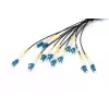 Digitus Pre-assembled Fiberglass Universal Breakout Cable Single Mode OS2 12 Fibers LC/UPC 100m
