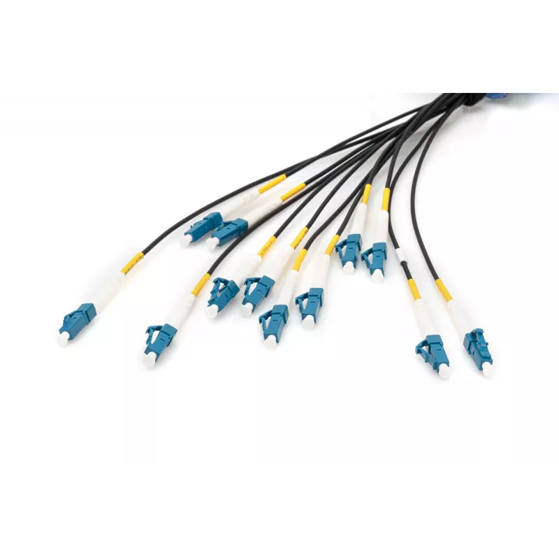 Digitus Pre-assembled Fiberglass Universal Breakout Cable Single Mode OS2 12 Fibers LC/UPC 100m