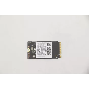 Lenovo 5SS0V42253 Internal Solid State Drive M.2 256 GB PCI Express (5SS0V42253)