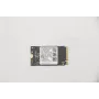 Lenovo 5SS0V42253 Internal Solid State Drive M.2 256 GB PCI Express (5SS0V42253)