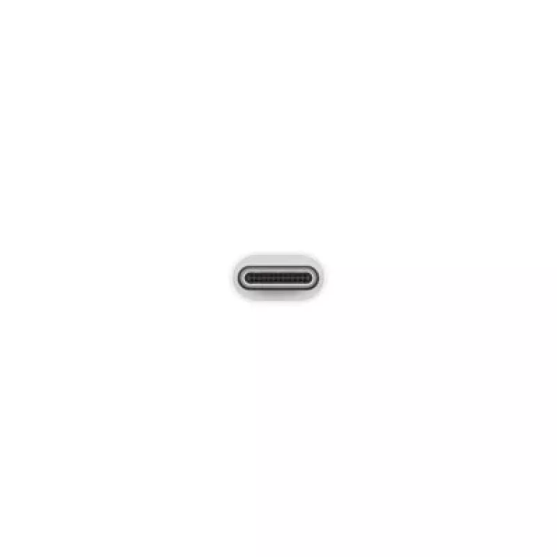 Apple USB-C to USB adapter MJ1M2ZM/A USB A USB C | Turime | ITwork