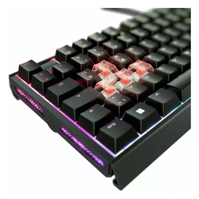 Keyboard CHERRY XTRFY MX 3.1 Mechanical RGB Wired Full-size