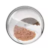 Automatic pet feeder Catlink F03 Standard — intelligent food dispenser with cat recognition