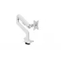 Monitor Mount Arozzi AZ-ALZARE-NEO-WT White 9kg VESA 75x75 100x100