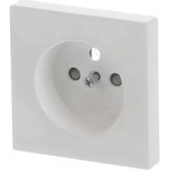 BUSCH JAEGER Socket Outlet SCHUKO 20 EUCB-F-44G Safety+ (2CKA002013A5521)