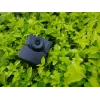Surveillance Camera Brinno EMPOWER 1920 x 1080 pixels