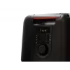 Bluetooth speaker FERGUSON REGENT Power Audio 400BT RGB 60W FM USB AUX DSP Black