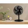 Noveen F535 X-Line 2-in-1 standing and desk fan, 40cm, black