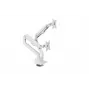 Monitor desk mount Arozzi AZ-ALZARE-NEO-DUO-WT for 2 screens, up to 81.3 cm (32 inch), 18 kg total, VESA 75x75–100x100, white