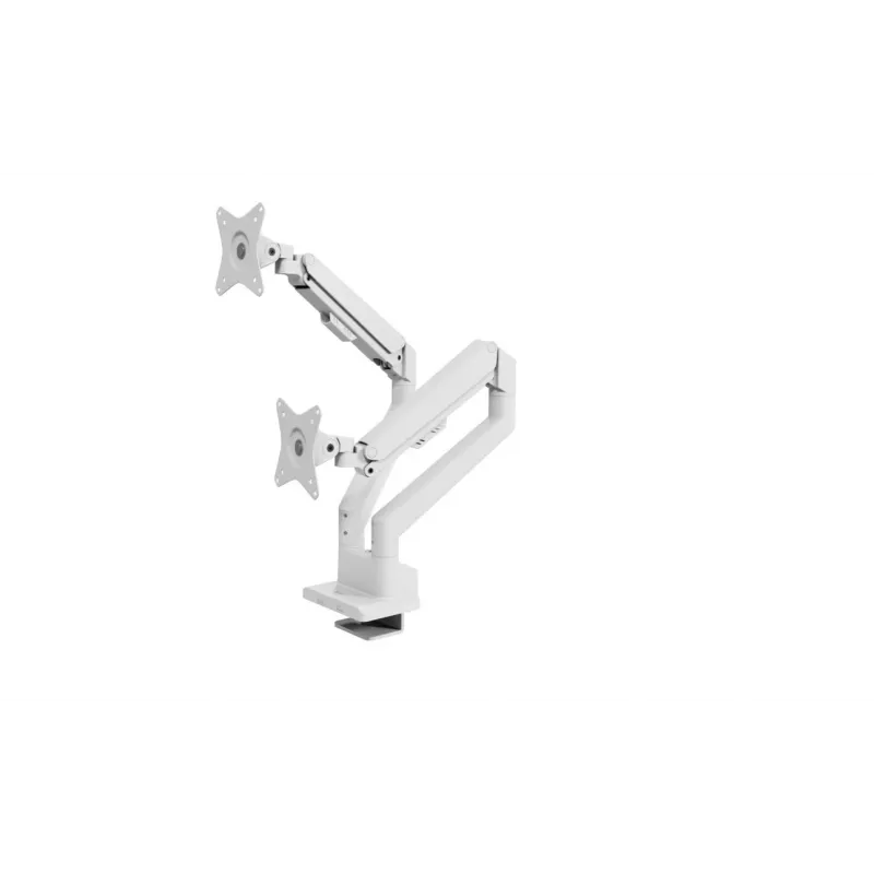 Monitor desk mount Arozzi AZ-ALZARE-NEO-DUO-WT for 2 screens, up to 81.3 cm (32 inch), 18 kg total, VESA 75x75–100x100, white