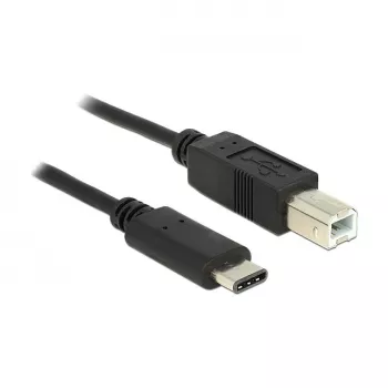USB Cable DeLOCK 0.5m USB2.0-C/USB2.0-B Black