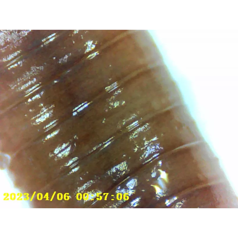 Denver MSC-255