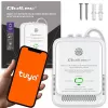 Gas and Carbon Monoxide Leak Detector QOLTEC 52654 — natural gas and CO sensing device