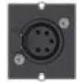 Bachmann Custom Module 1 x XLR socket - Modulares Faceplate-Snap-In - XLR (5-pin) - Black (917.101)