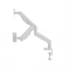 Monitor mount GEMBIRD MA-DA2-06-W for 17–32 inch screens, desk clamp/rail mounting, white