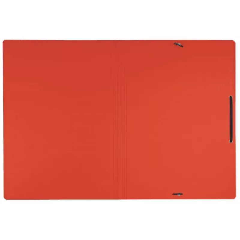 Leitz Recycle Card Folder with elastic bands, Conventional file folder, A4, Carton, Red, Landscape/Portrait, 250 sheets