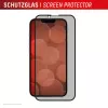 Privacy Tempered Glass Screen Protector e.v.i. Displex (10H) for Apple iPhone 16e/17e with Privacy Filter, Impact and Scratch Resistant