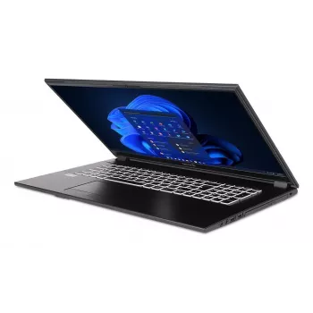 TERRA 1716R Intel® Core™ i3 i3-1315U Laptop 43.9 cm (17.3 inch) Full HD 8 GB DDR4-SDRAM 500 GB SSD Wi-Fi 6 (802.11ax) Windows 11 Home Grey