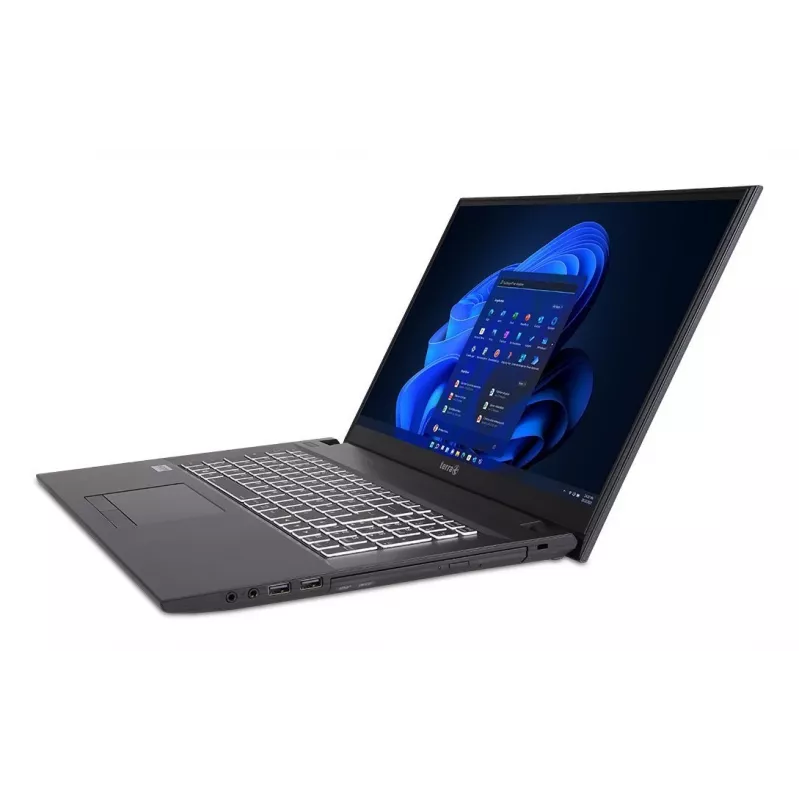 TERRA 1716R Intel® Core™ i3 i3-1315U Laptop 43.9 cm (17.3 inch) Full HD 8 GB DDR4-SDRAM 500 GB SSD Wi-Fi 6 (802.11ax) Windows 11 Home Grey