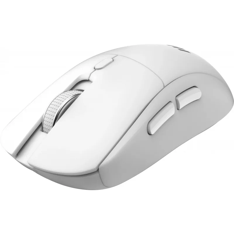 MSI FORGE K210 W COMBO WHITE US keyboard Mouse included Home/Office USB QWERTY US English