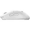 MSI FORGE K210 W COMBO WHITE US keyboard Mouse included Home/Office USB QWERTY US English