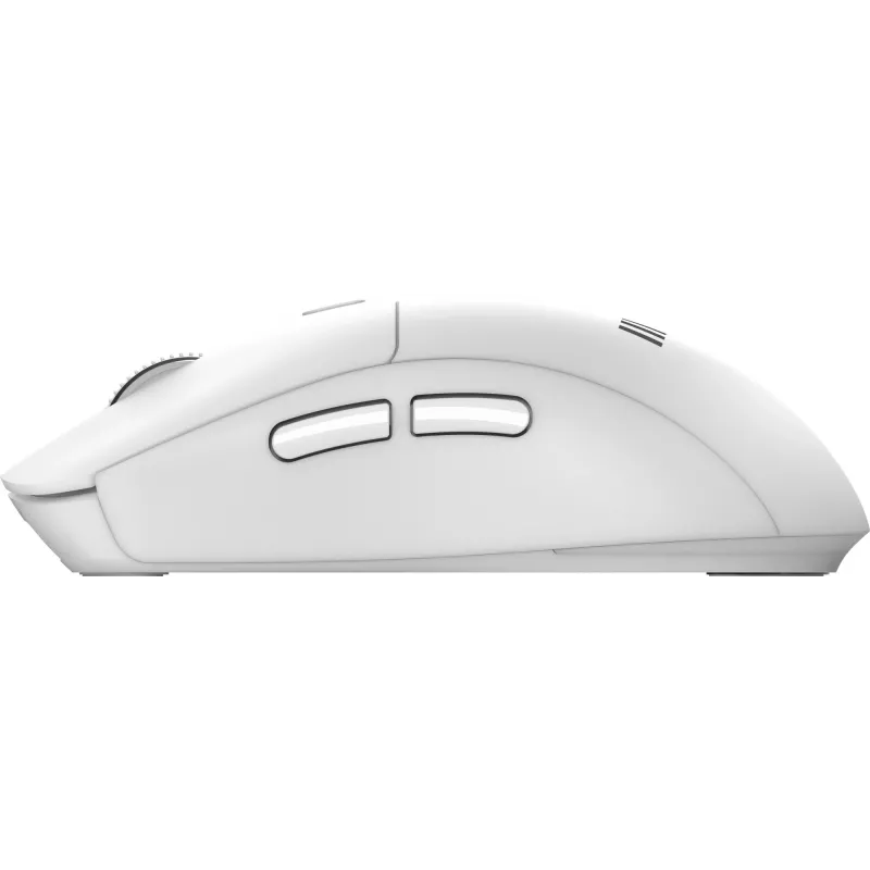 MSI FORGE K210 W COMBO WHITE US keyboard Mouse included Home/Office USB QWERTY US English