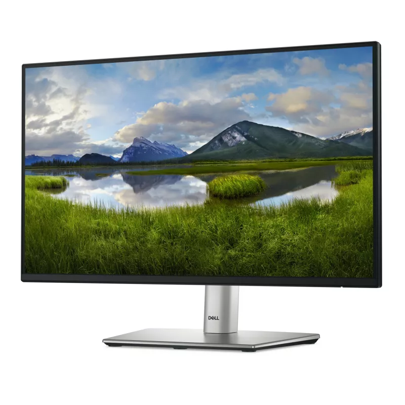 DELL P Series P2225H computer monitor 54.6 cm (21.5 inch) 1920 x 1080 pixels Full HD LCD Black, Silver