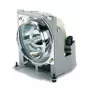 Viewsonic RLC-079 projector lamp
