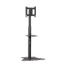Chief PF1UB monitor mount / stand 190.5 cm (75 inch) Floor Black