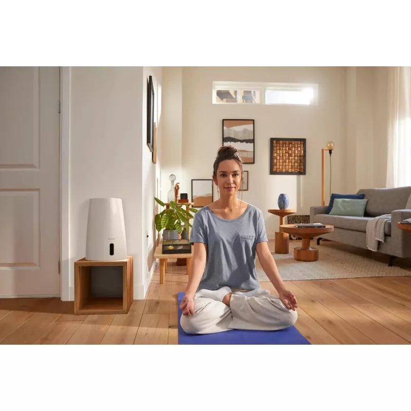 Humidifier Philips HU3916/10 3 L ultrasonic, 25 W, white/rose gold, 250×250×375 mm
