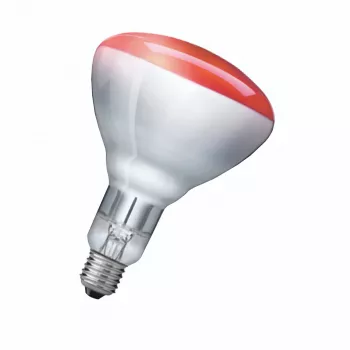Infrared bulb Philips 923212043801 250 W 5000 h 230-250 V