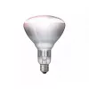 Infrared bulb Philips 57522725 150 W 5000 h 230-250 V