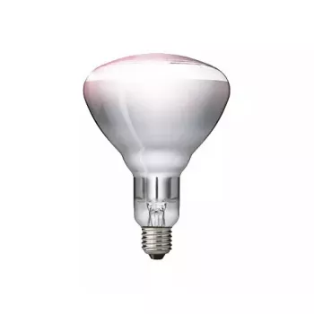 Infrared bulb Philips 57522725 150 W 5000 h 230-250 V