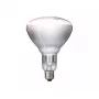 Infrared bulb Philips 57522725 150 W 5000 h 230-250 V