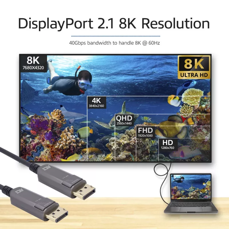 ACT AK4173 DisplayPort cable 30 m Black