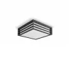 Philips myGarden Moonshine Ceiling Light 28W E27 No-bulb, Outdoor wall lighting, Anthracite, Aluminium, Synthetics, IP44, Garden, Patio, II