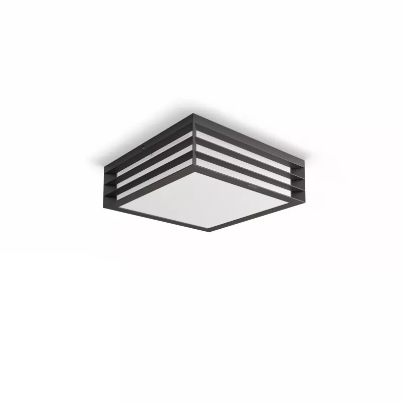 Philips myGarden Moonshine Ceiling Light 28W E27 No-bulb, Outdoor wall lighting, Anthracite, Aluminium, Synthetics, IP44, Garden, Patio, II